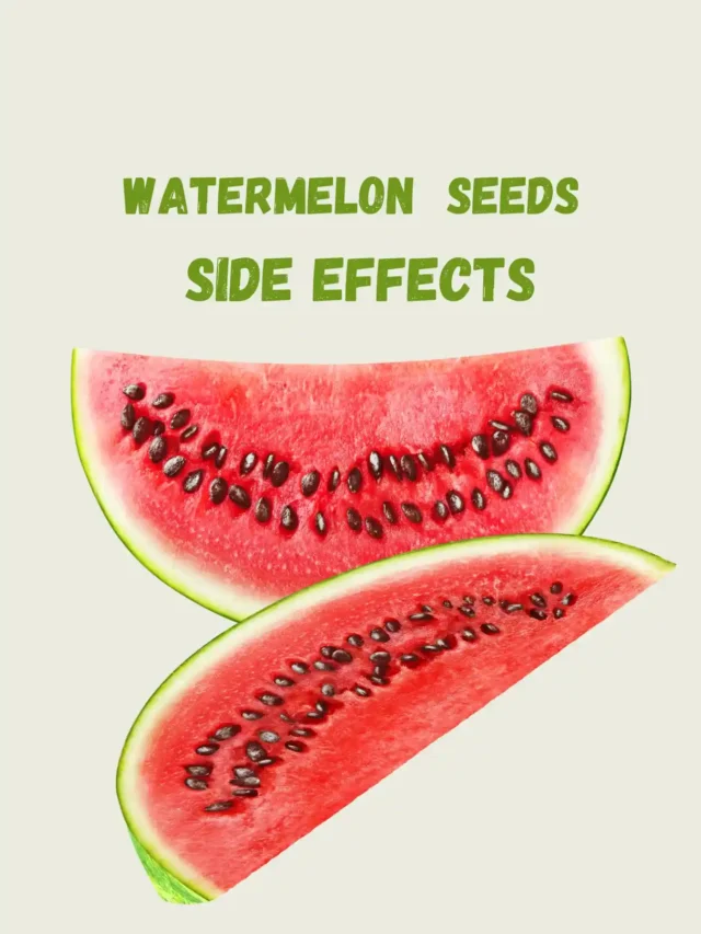 Top 6 watermelon seeds side effects for female