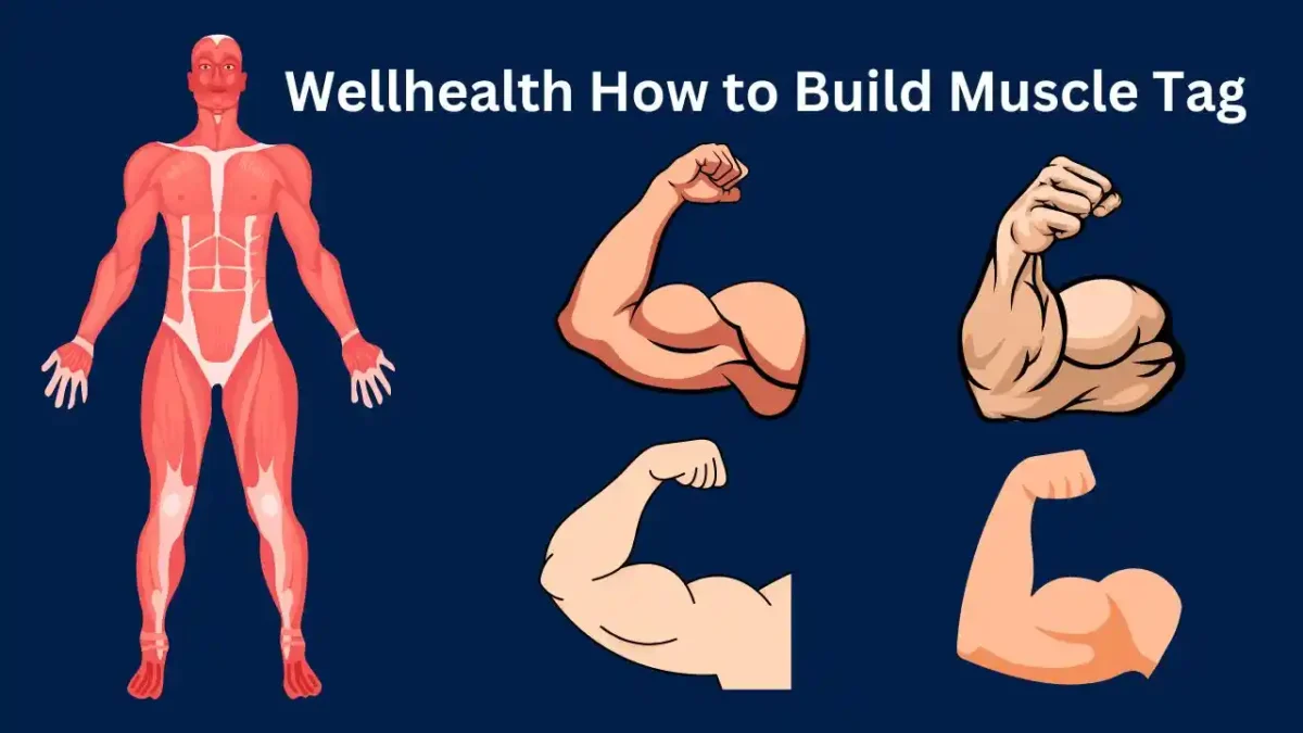 Wellhealth How to Build Muscle Tag