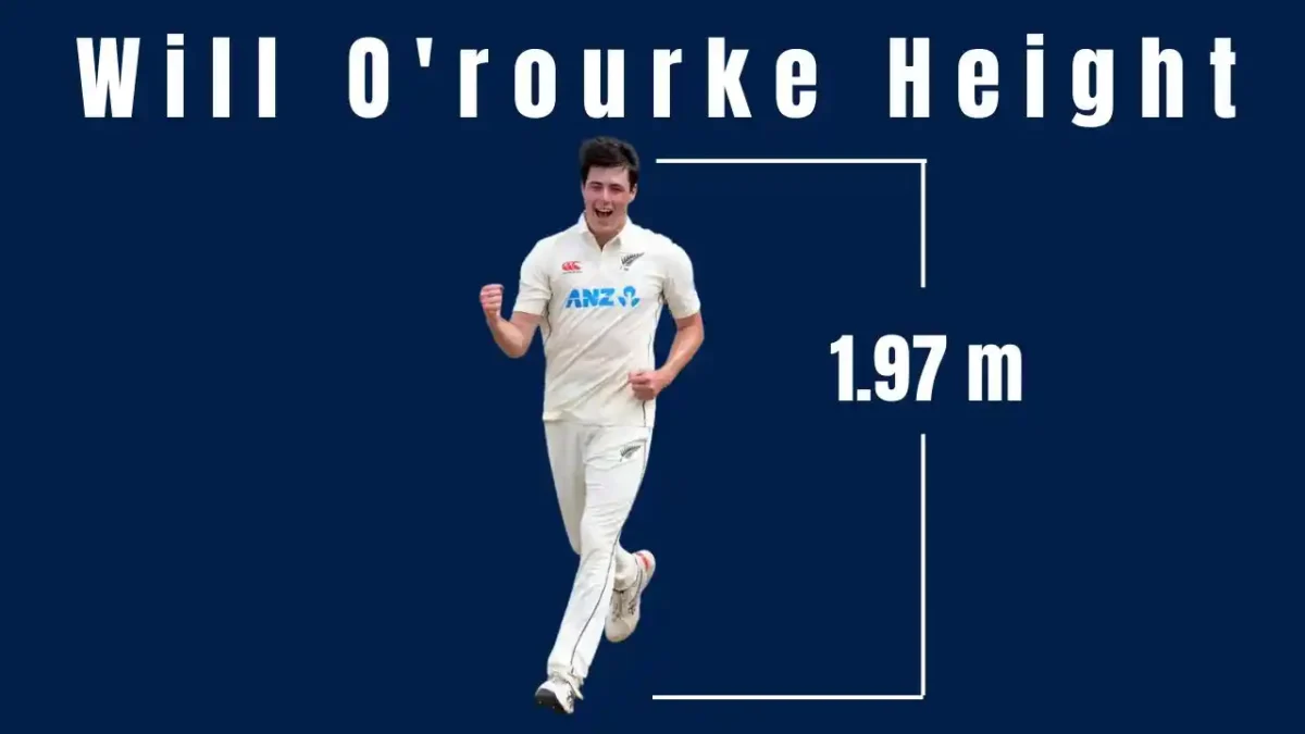 Will O'rourke Height